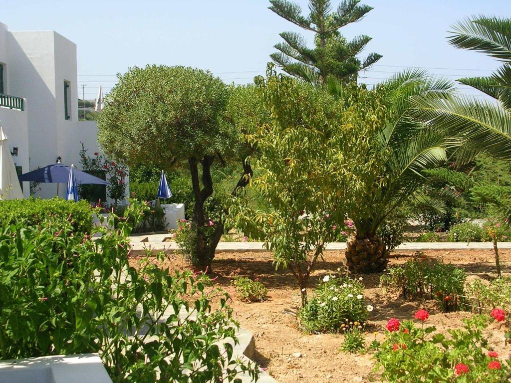 Sirius Apartments Hersonissos  Quarto foto